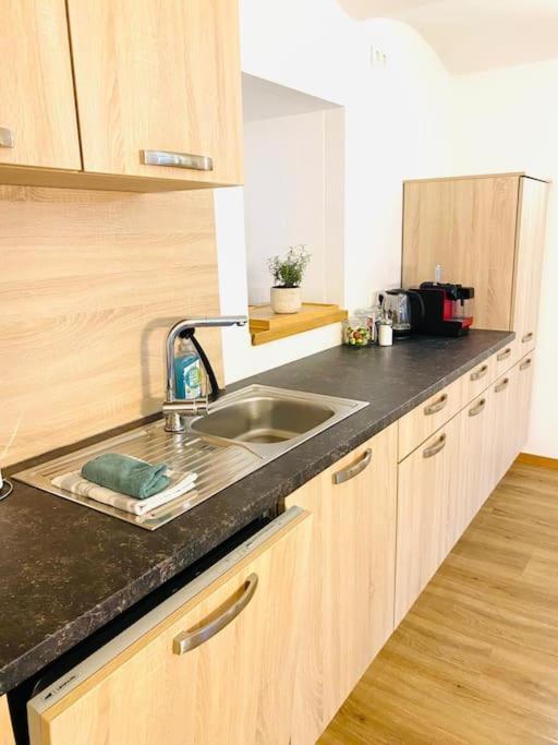 Terrassenwohnung Mit Donaublick Obernzell Dış mekan fotoğraf