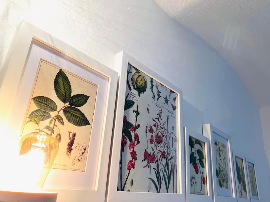 Terrassenwohnung Mit Donaublick Obernzell Dış mekan fotoğraf